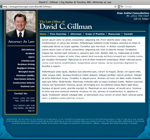 David C. Gillman website design